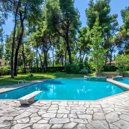 Lost Palms Jacuzzi & Pool Sani (Chalkidiki)